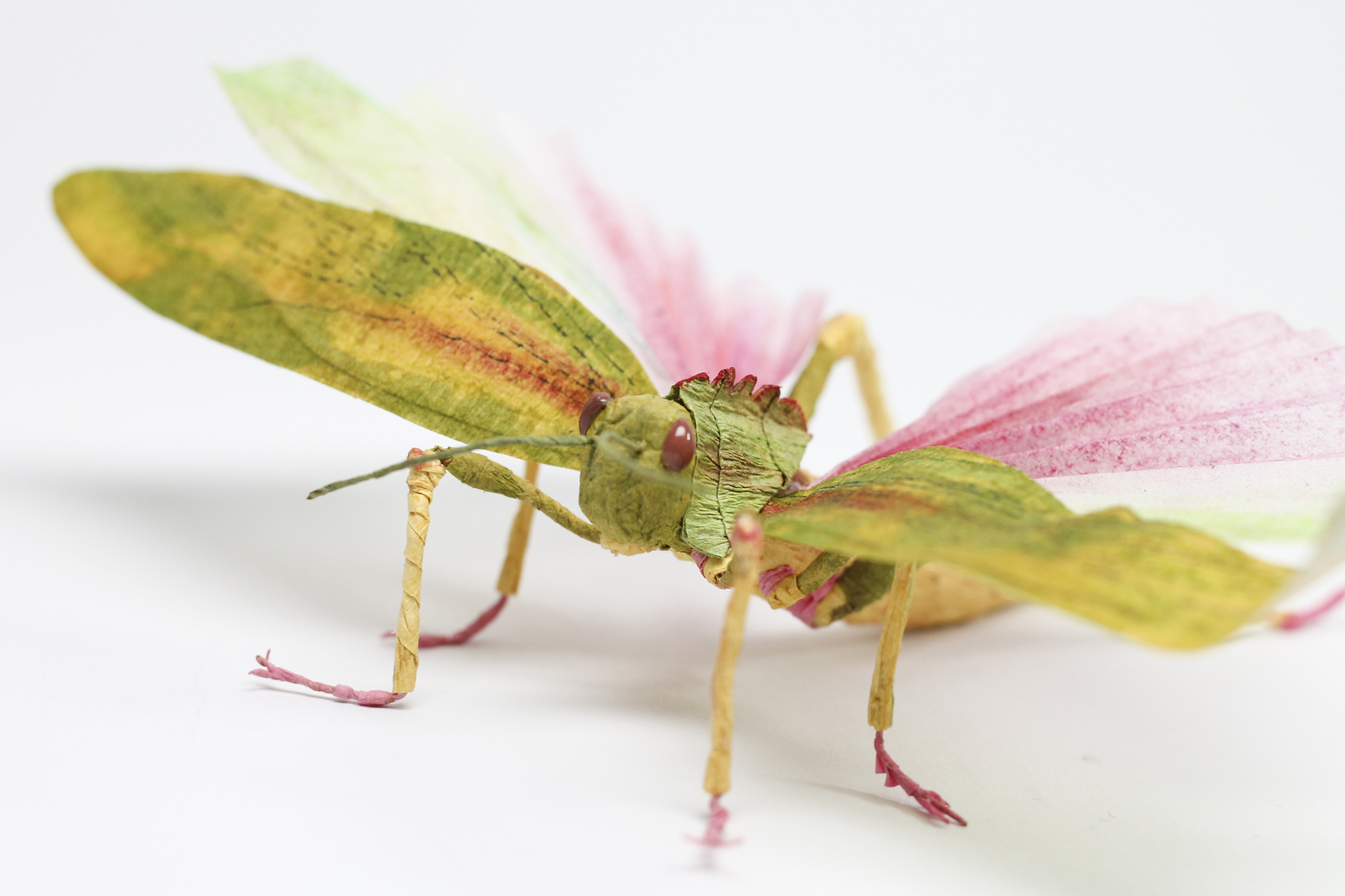 Crepe_Paper_Insects_PaperArt_Tropidacris_Locust_by_faltmanufaktur01 (1)