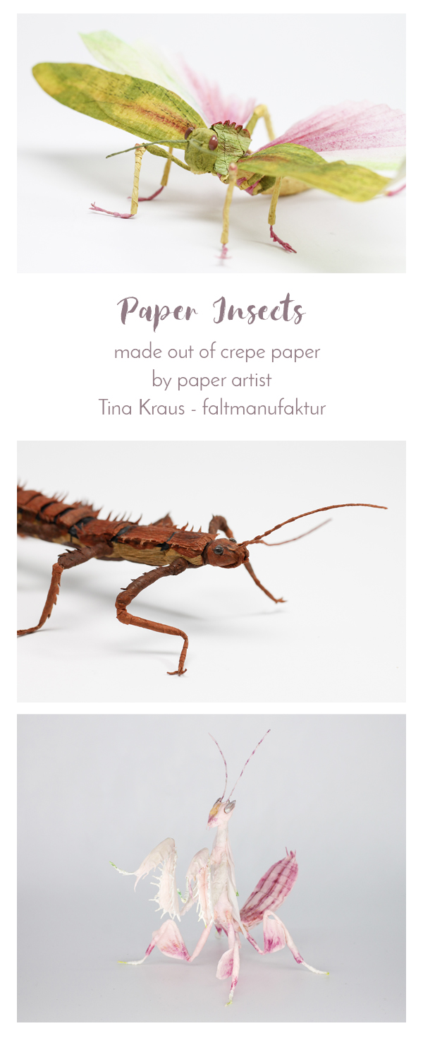 PinItCrepe_Paper_Insects_PaperArt_by_faltmanufaktur04